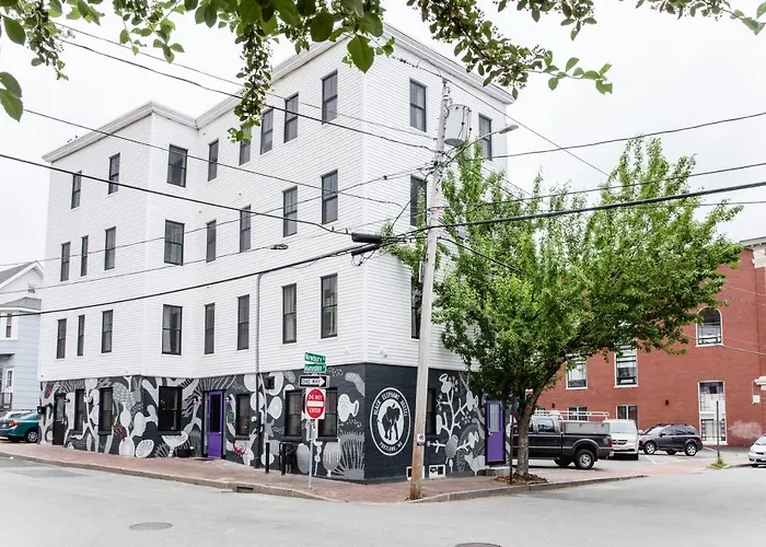 Hotel near College: Black Elephant Hostel